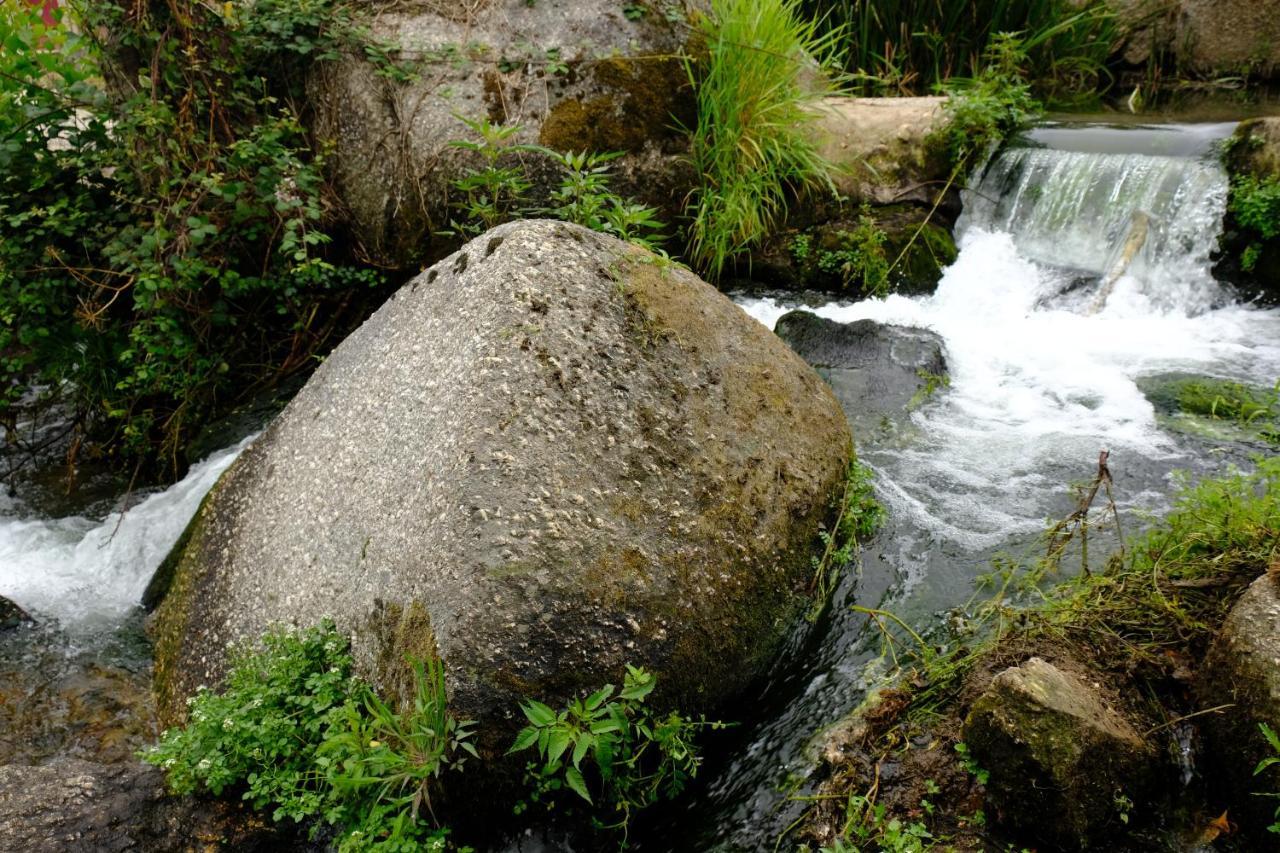 Refugio House Natura Moinho De Agua - Eco House Guimaraes Ngoại thất bức ảnh